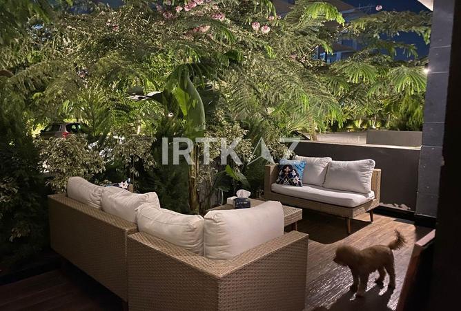 8497989 - Property Image 3