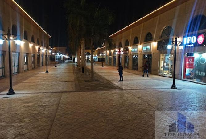 8282258 - Property Image 2