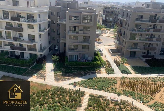 8351438 - Property Image 3