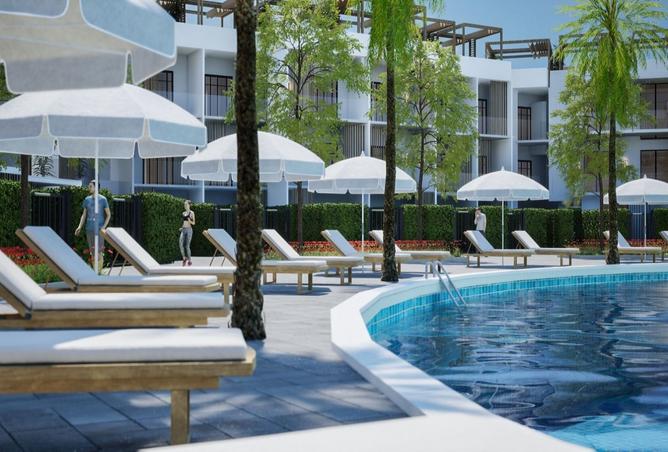 8494987 - Property Image 3