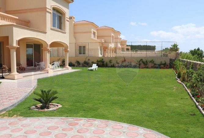 7392677 - صورة العقار 3