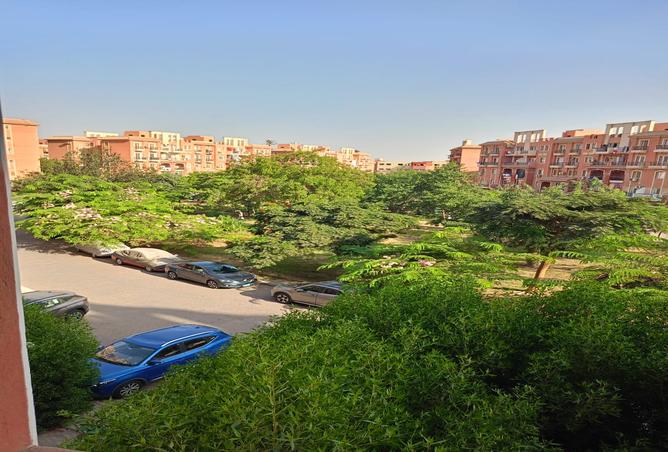 7979491 - الصورة الرئيسية للعقار