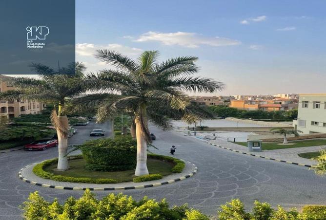 8292882 - Property Image 3