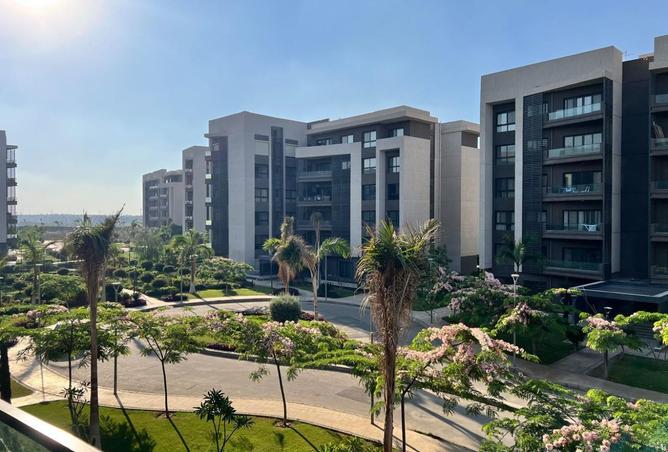 8255629 - صورة العقار 2