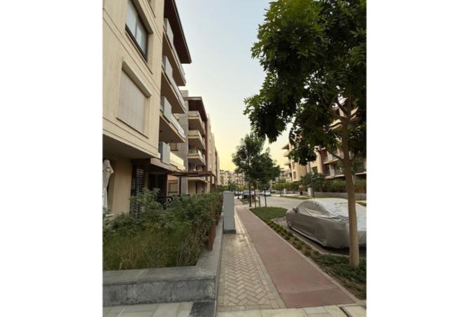 8358798 - Property Image 2