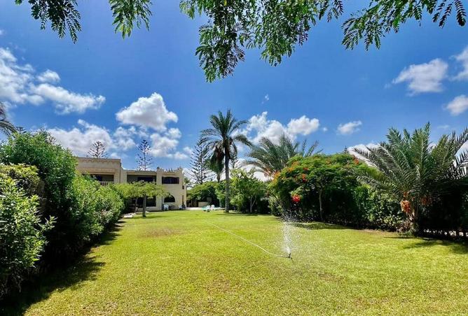 8195181 - صورة العقار 2