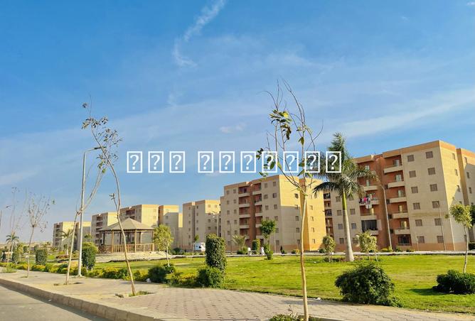 8181588 - صورة العقار 3