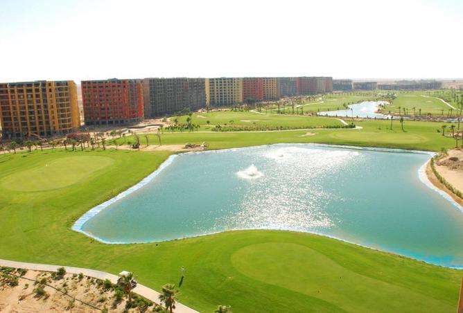 8278341 - Property Image 2