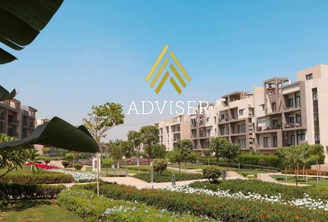 8277398 - Property Image 2