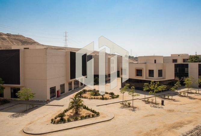 8395337 - Property Image 3