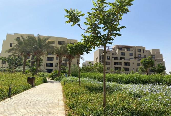 8007829 - Property Image 3