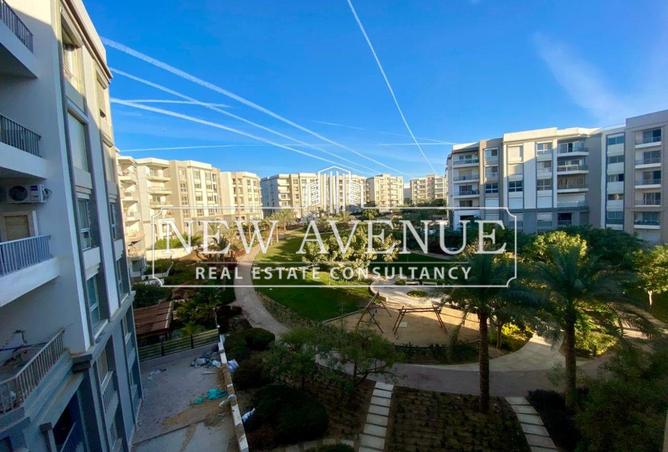 8469856 - Property Image 3