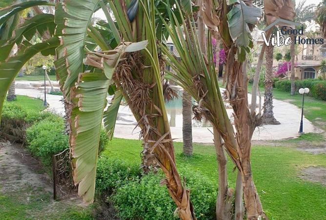 8237344 - Property Image 3