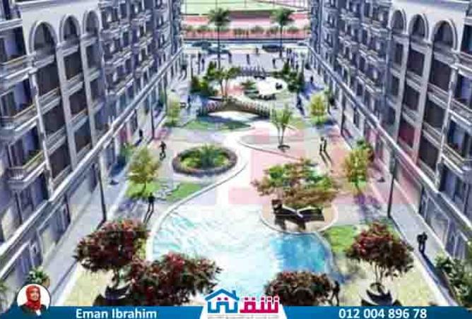 8147987 - صورة العقار 3