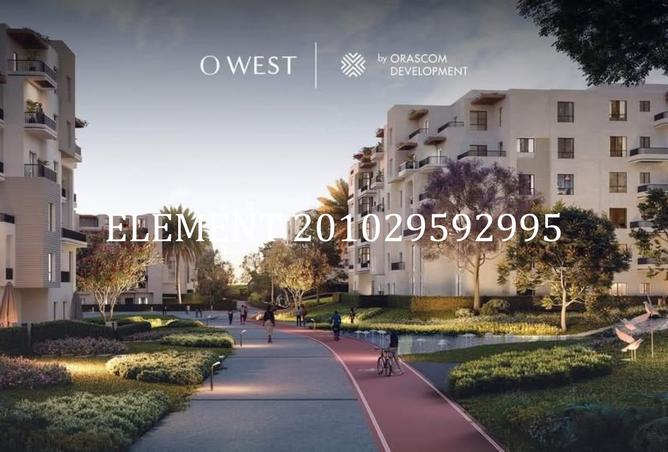 8355962 - Property Image 3