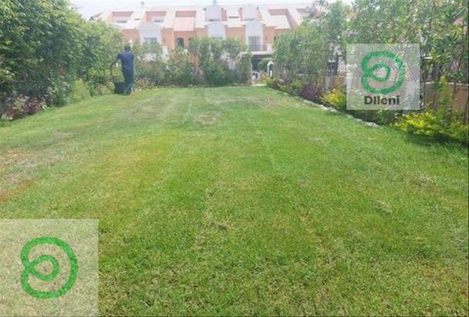 8251351 - صورة العقار 2