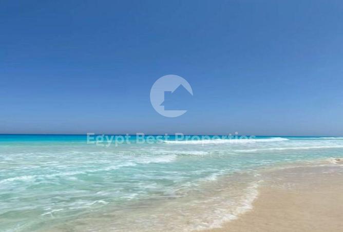 8178596 - صورة العقار 2