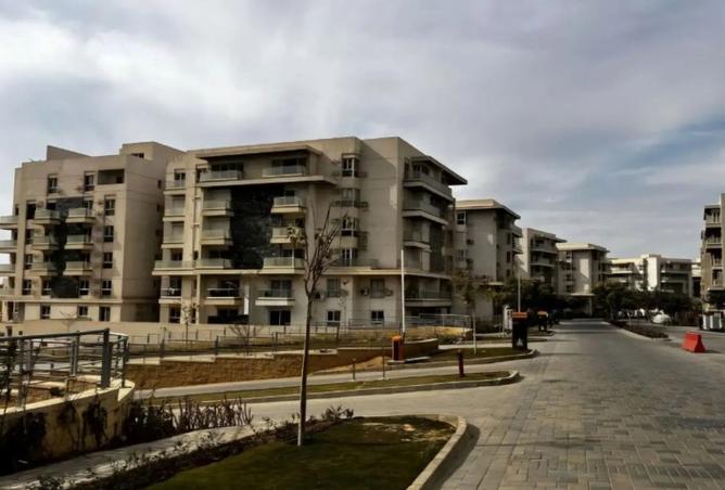 8333673 - Property Image 3