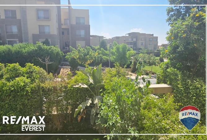 7935684 - صورة العقار 3