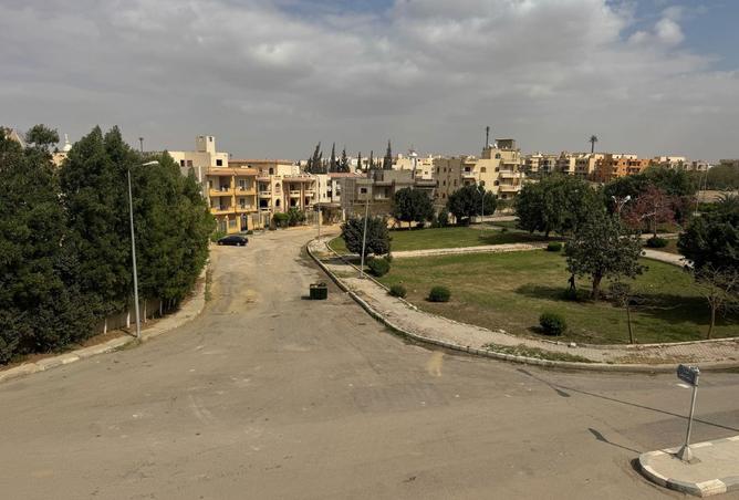 8032094 - صورة العقار 2