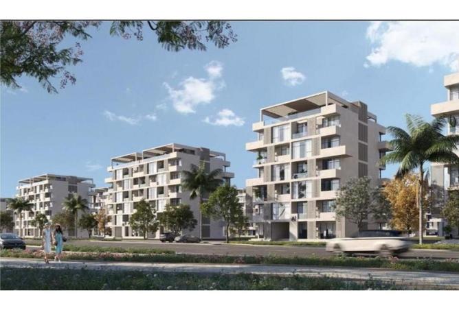 8139383 - Property Image 2