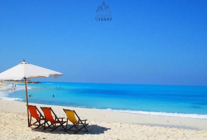 8391923 - صورة العقار 3