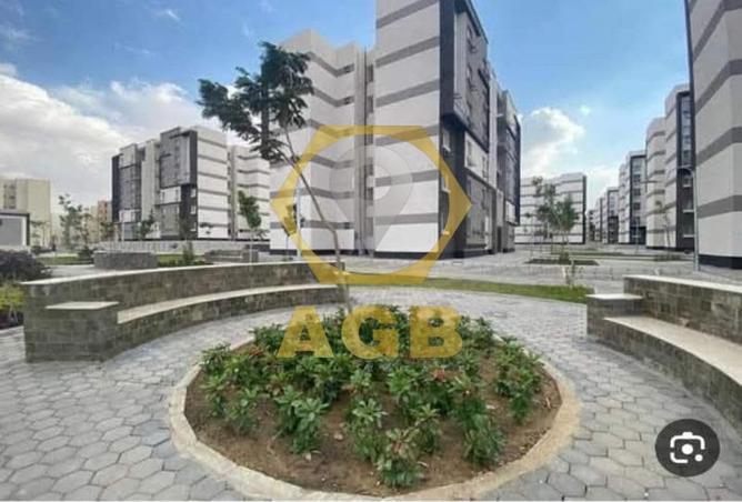 7988683 - Property Image 3