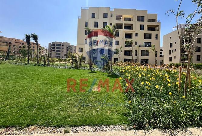 7983007 - صورة العقار 3