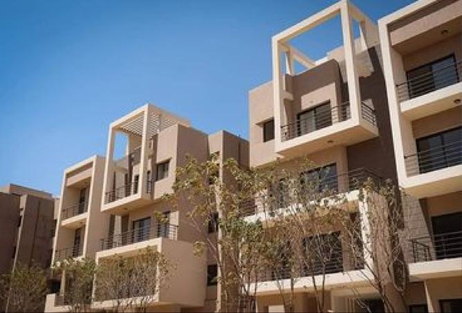 8144093 - Property Image 3