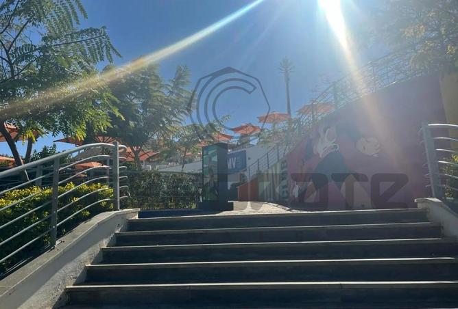 8226821 - صورة العقار 2