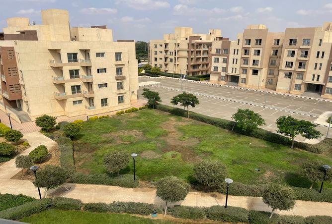 7990062 - صورة العقار 2