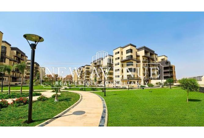 8150226 - Property Image 3