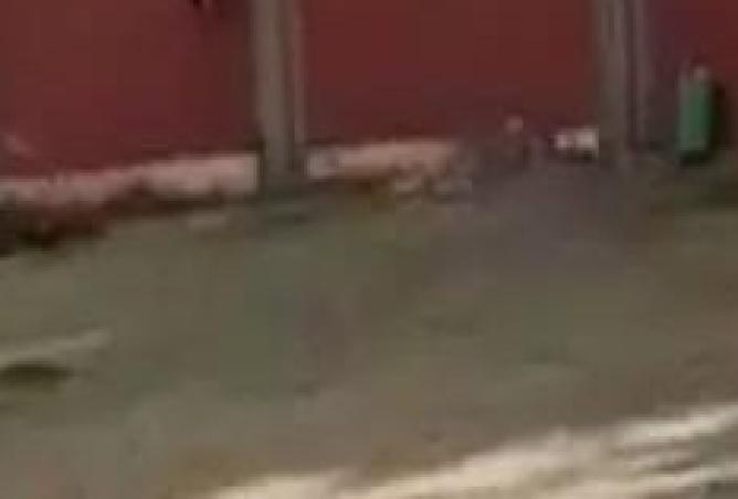 8101302 - الصورة الرئيسية للعقار