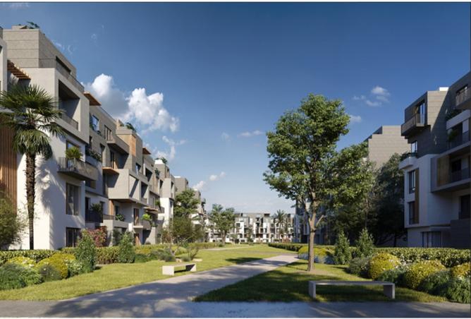 8060185 - Property Image 3