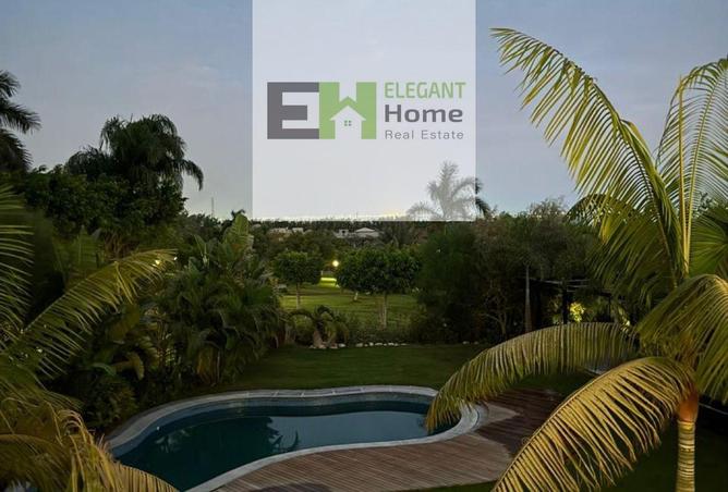 8394447 - Property Image 3