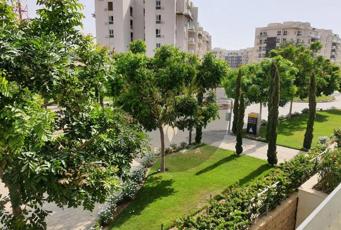 8155019 - Property Image 3