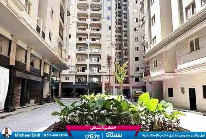 8493489 - Property Image 2