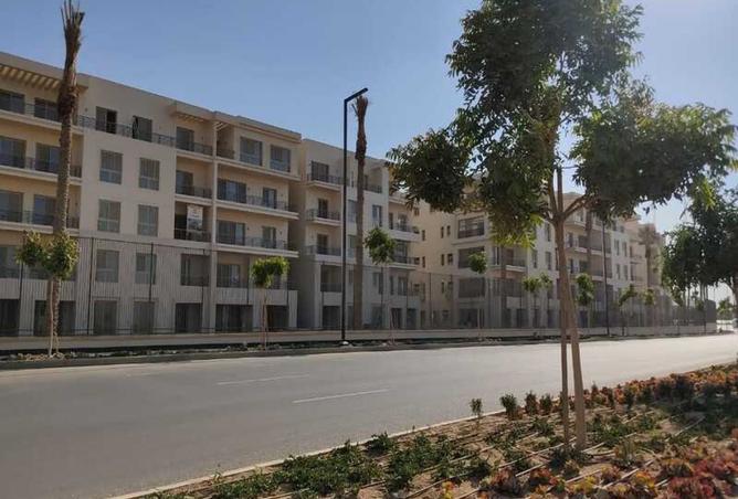 7926082 - Property Image 3