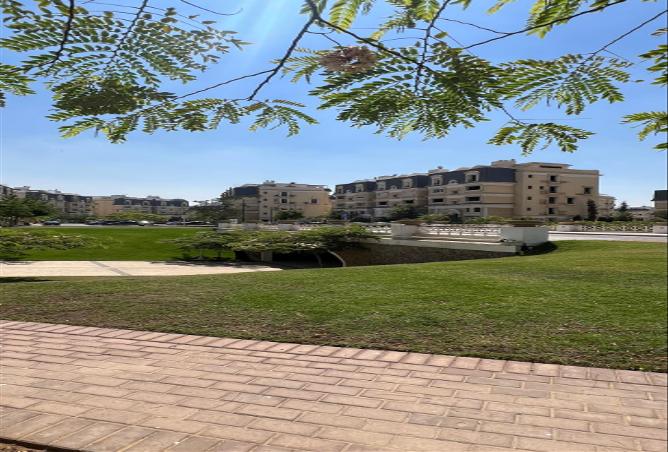 7991461 - Property Image 2
