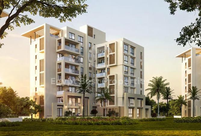 8488553 - Property Image 3