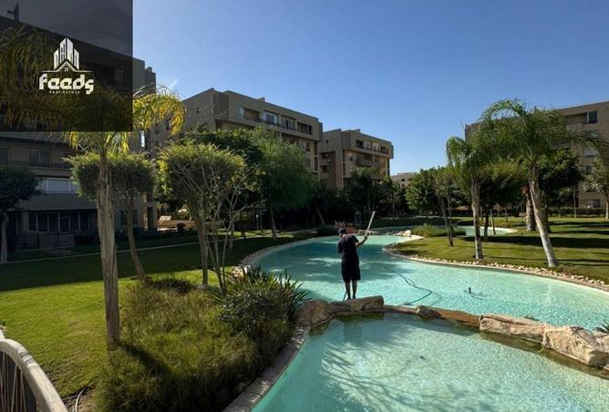 8230371 - Property Image 3