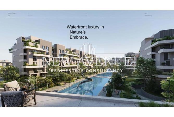 8074621 - Property Image 3