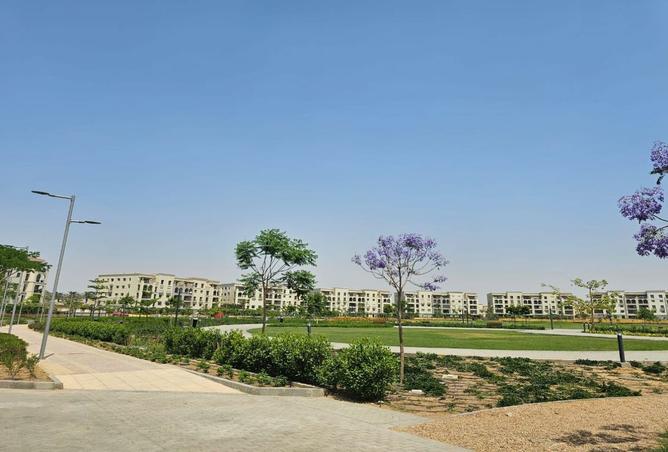 8074545 - Property Image 3