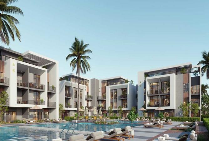 8166776 - Property Image 3