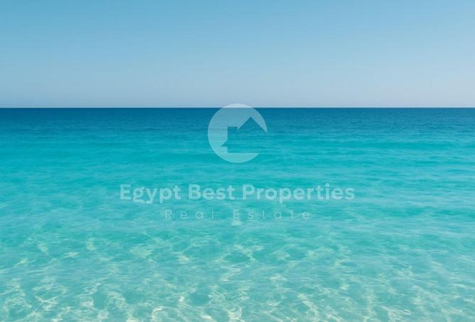 7904380 - صورة العقار 2
