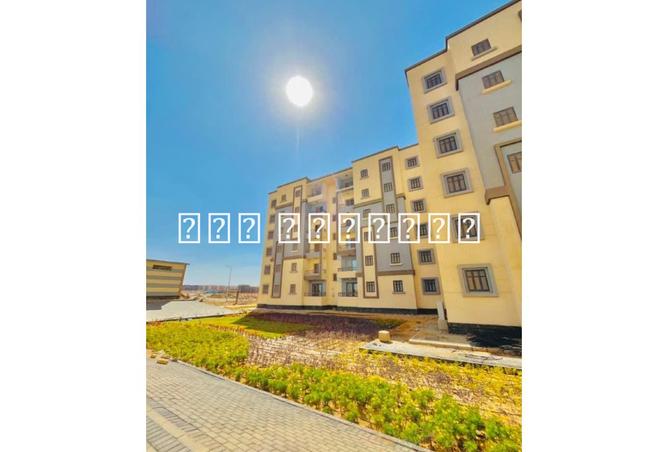 8150824 - صورة العقار 3