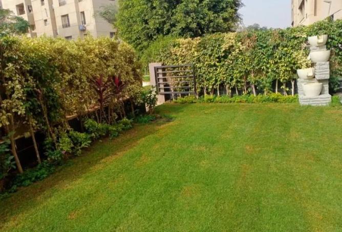 8170861 - صورة العقار 2