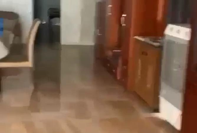 8041596 - صورة العقار 3