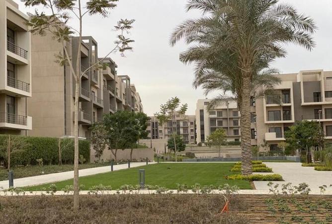 8081675 - صورة العقار 2
