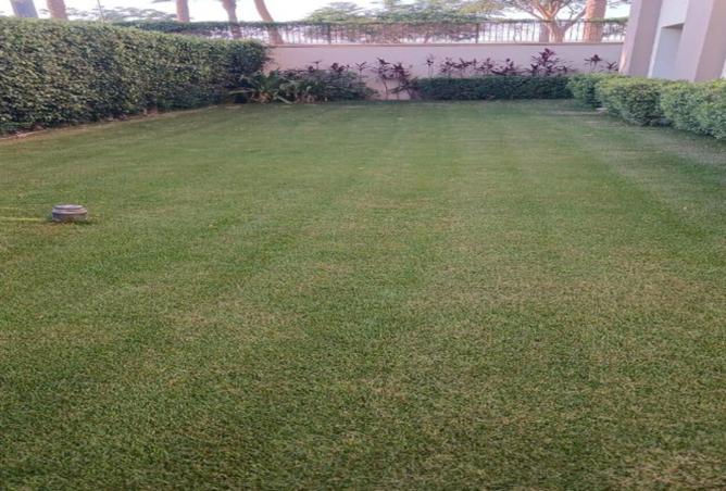 8149586 - صورة العقار 2